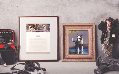 Warum ich keine kostenlose Shootings anbiete