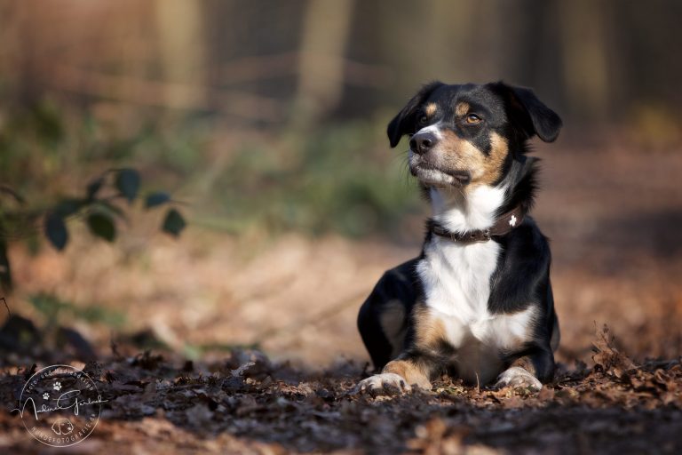 Kleiner Schwarz-Weißer Badteppich / Runder Beistelltisch - 50