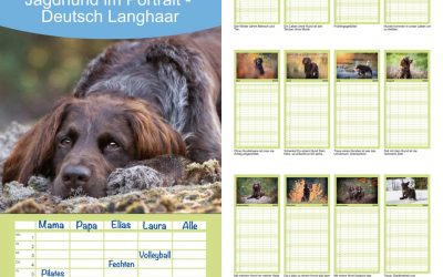 Neue Amazonlinks 2026